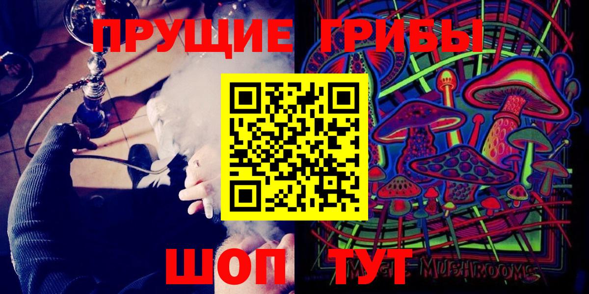 Псилоцибиновые грибы Psilocybe Екатеринбург