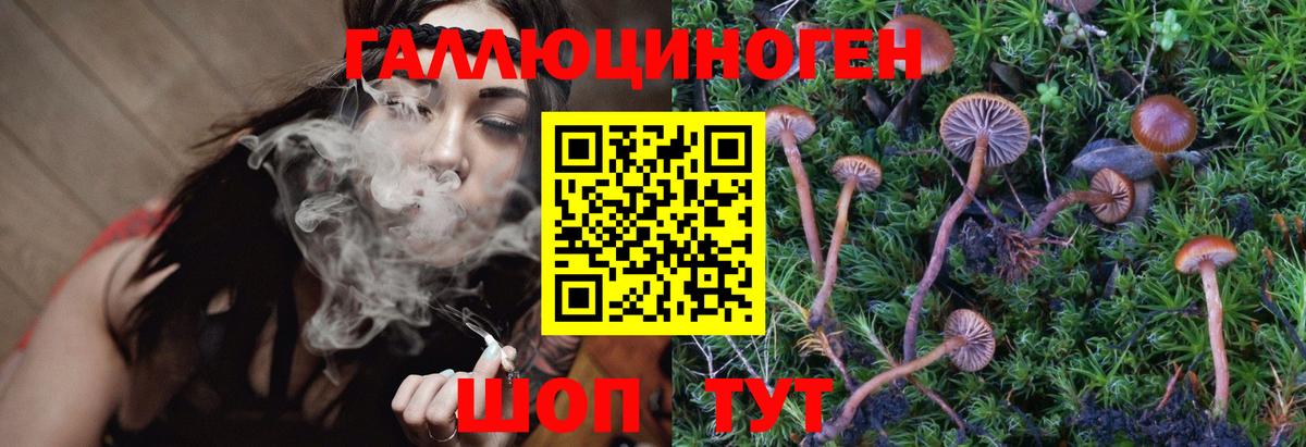 Галлюциногенные грибы Psilocybine cubensis  Галлюциногенные грибы Psilocybe  Екатеринбург  магазин продажи наркотиков  Вход с VPN 